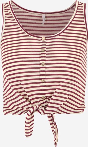 Only Petite Top 'CANNES' in Roze: voorkant