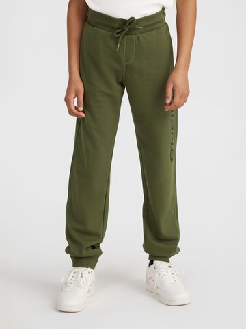 O'NEILL Regular Trousers in Green: front