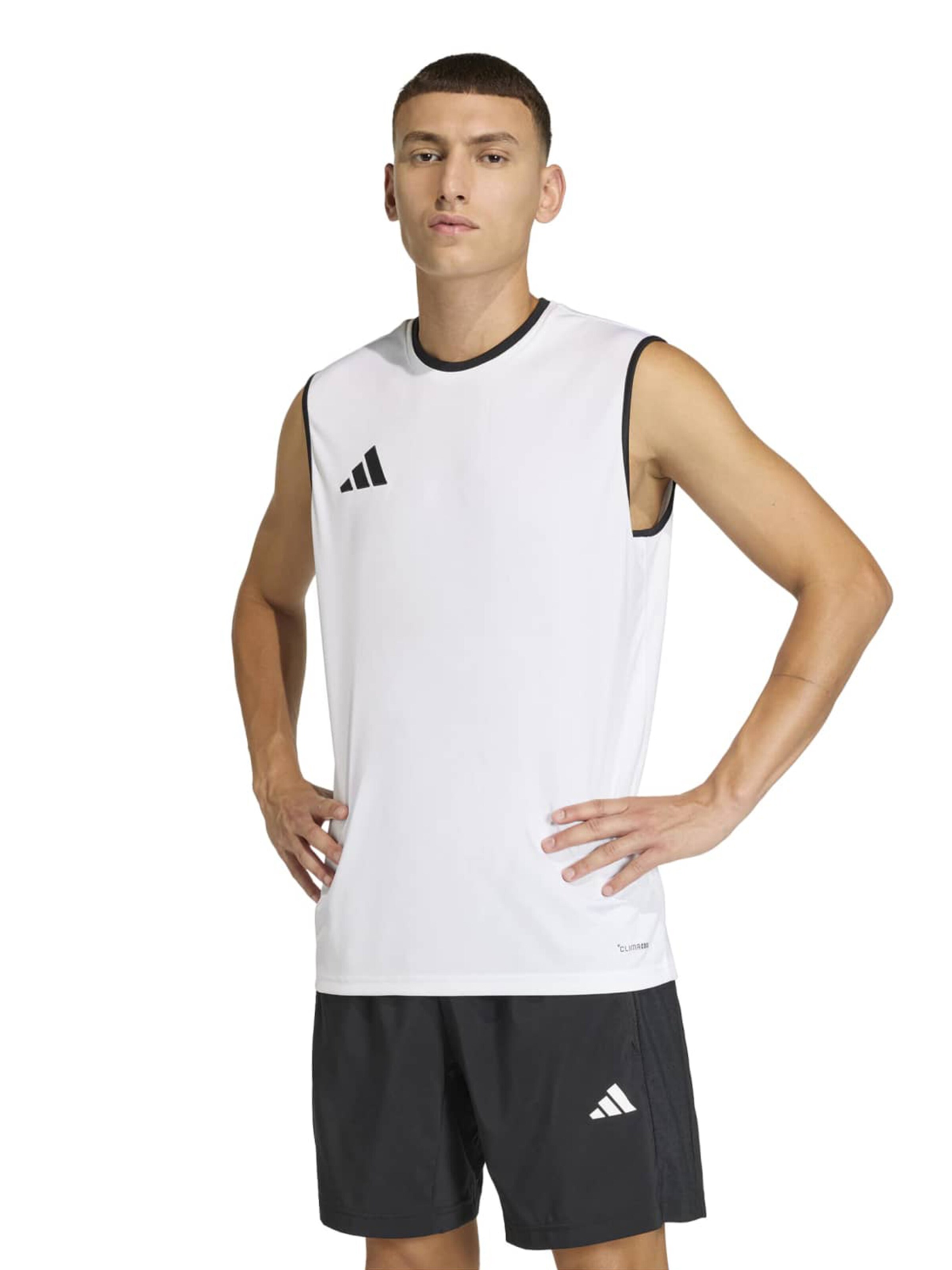 ADIDAS PERFORMANCE Performance shirt 'ENT26' in White: front