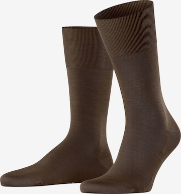 FALKE Socken 'ClimaWool' in Braun: Vorderseite