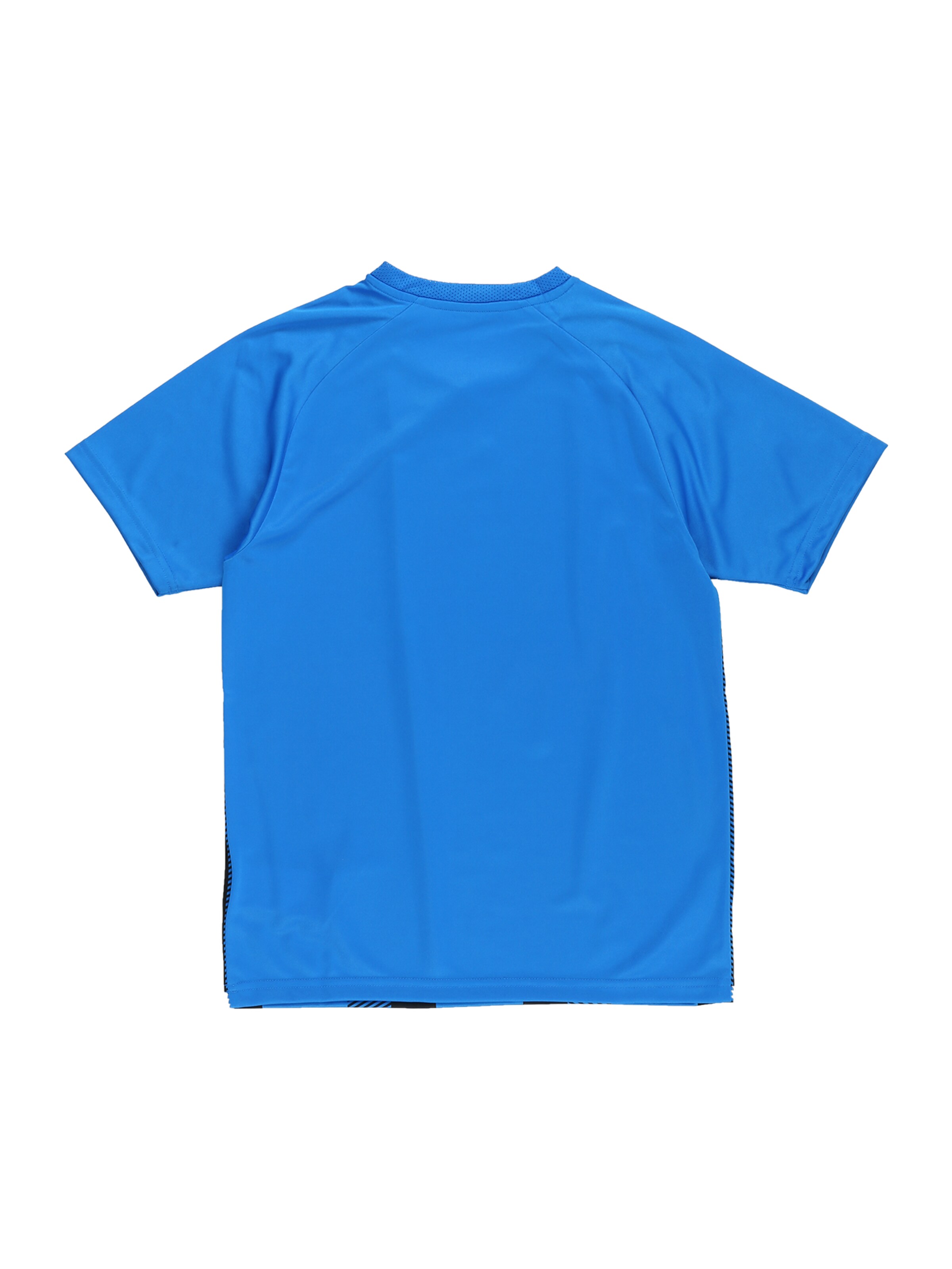 PUMATehnička sportska majica 'Team Liga' - plava boja