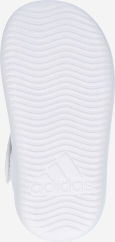 ADIDAS SPORTSWEAR - Sapato de praia/banho em branco