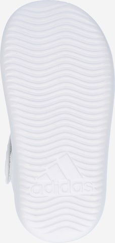 Claquettes / Tongs ADIDAS SPORTSWEAR en blanc