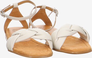 UNISA Sandalen met riem in Beige: voorkant