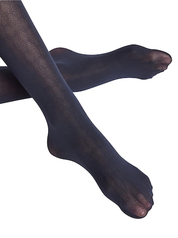 FALKE Strumpfhose 'Dovetail'‌‌‌‌‌‌‌‌‌‌ in Blau