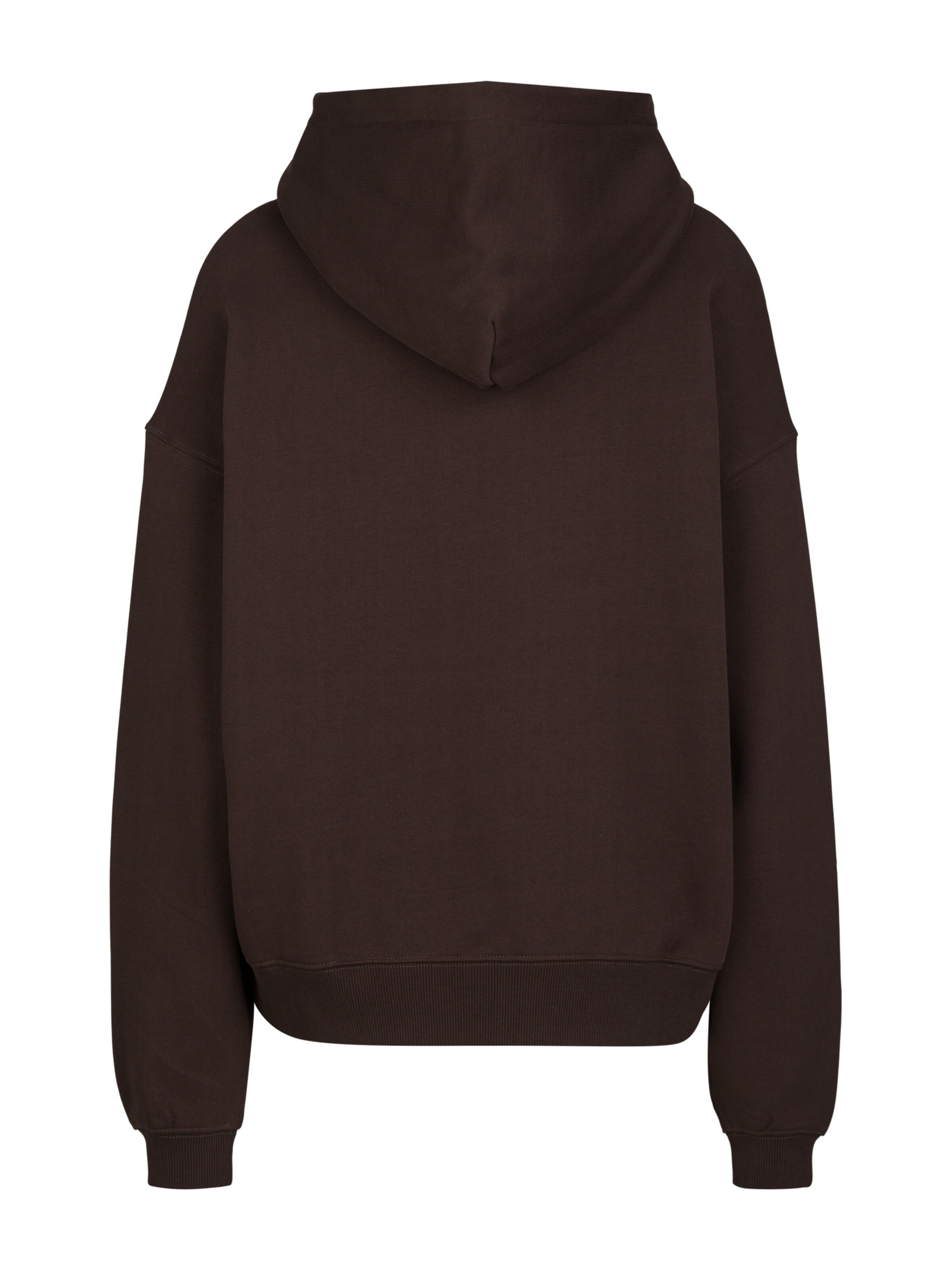 19V69 ITALIA Sweatshirt 'Cleo Street' in Bruin