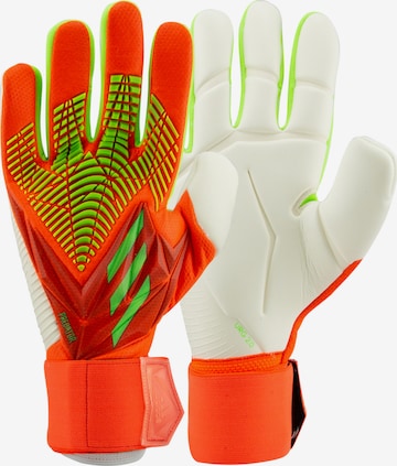 Gants de sport ADIDAS SPORTSWEAR en orange : devant