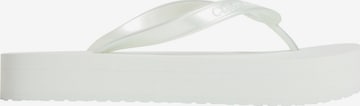 Calvin Klein T-bar sandals 'Aysha' in White: front