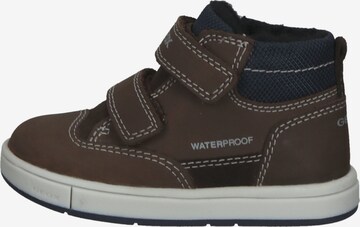 GEOX Sneakers in Brown