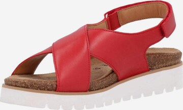 MEPHISTO Sandals in Red: front