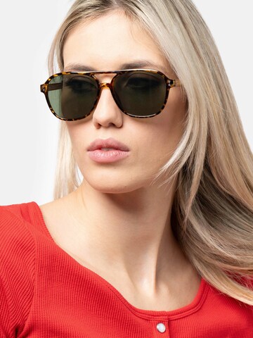 Herling Sunglasses 'Thorne Sun' in Brown