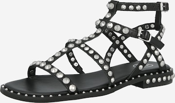 ASH Босоножки с ремешком 'PRECIOUS01' в Черный: спереди