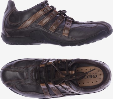 GEOX Sneakers & Trainers in 39 in Brown: front