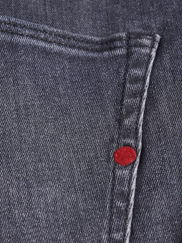 R.D.D. ROYAL DENIM DIVISION Regular Jeans 'Mike' in Grijs