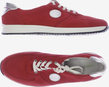 WALDLÄUFER Sneakers & Trainers in 42 in Red: front