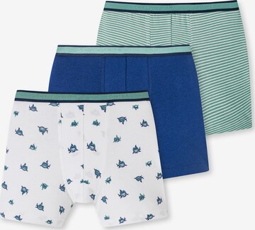 SCHIESSER Underpants ' 95/5 ' in Blue: front