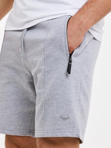 Regular Pantalon 'Whyte' Threadbare en gris