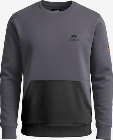 FORSBERG Sweatshirt 'Alvarson Sweatshirt' in Grey: front