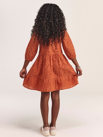 Shiwi Klänning 'TUSCANY' i brun
