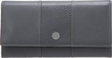 Maître Portemonnaie 'Auen Diedburg' in Grau: Vorderseite