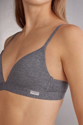 INTIMISSIMI Triangel BH 'Tiziana' in Grau
