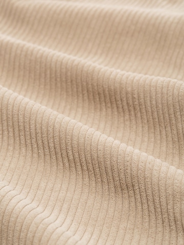 TOM TAILOR DENIM Loosefit Byxa i brun