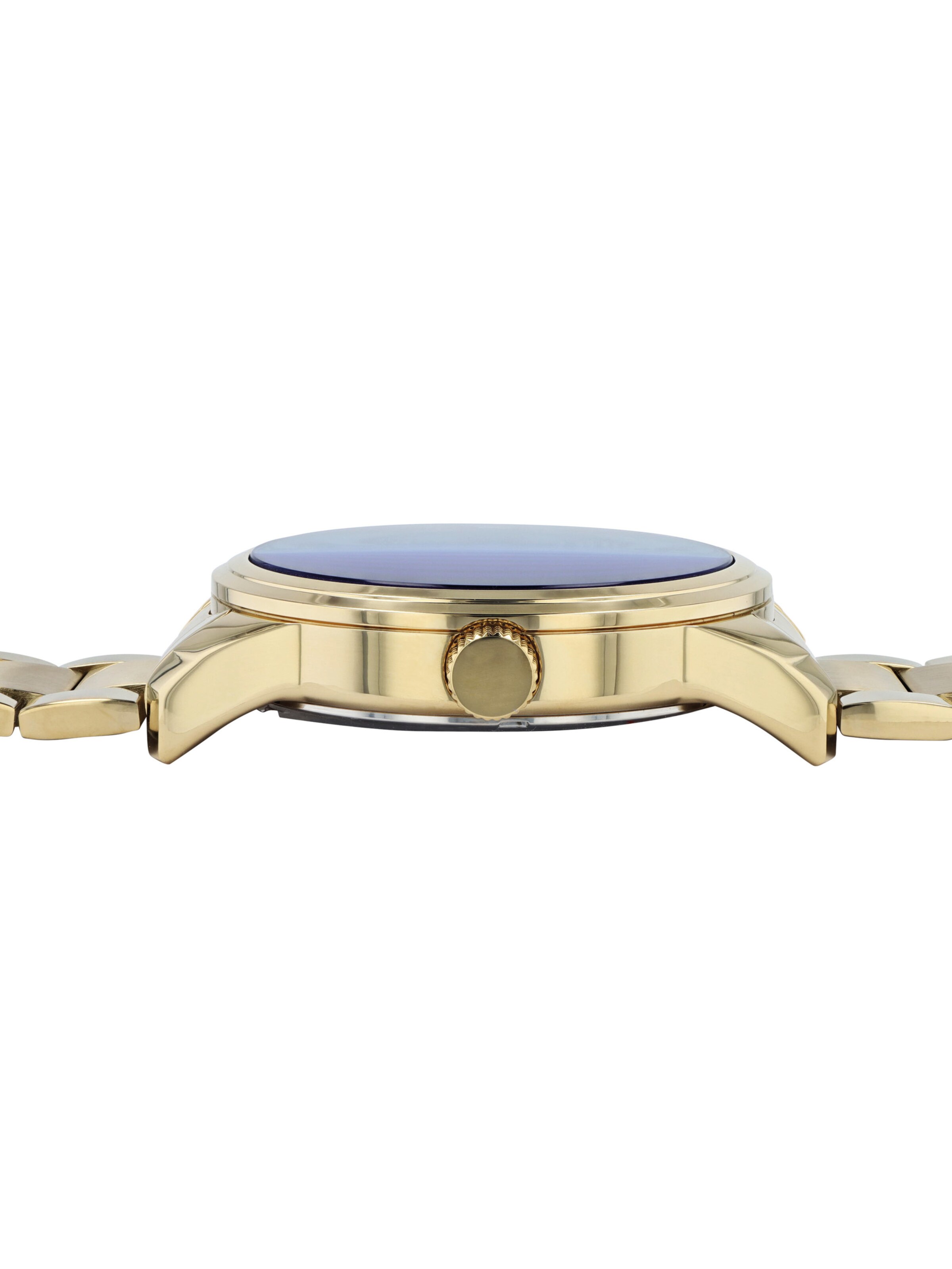 Raptor Analog Watch 'Fox, 5 ATM' in Grey