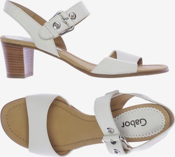 GABOR Sandals & High-Heeled Sandals in 41,5 in White: front