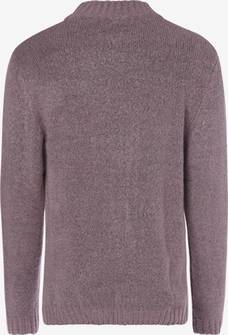 Redefined Rebel Sweater ' Dustin ' in Purple