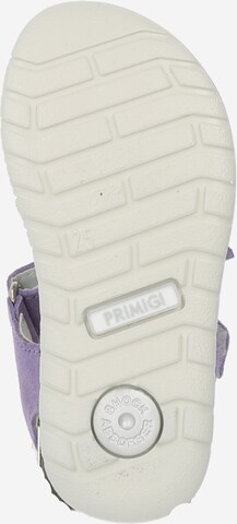 PRIMIGI Sandals in Purple