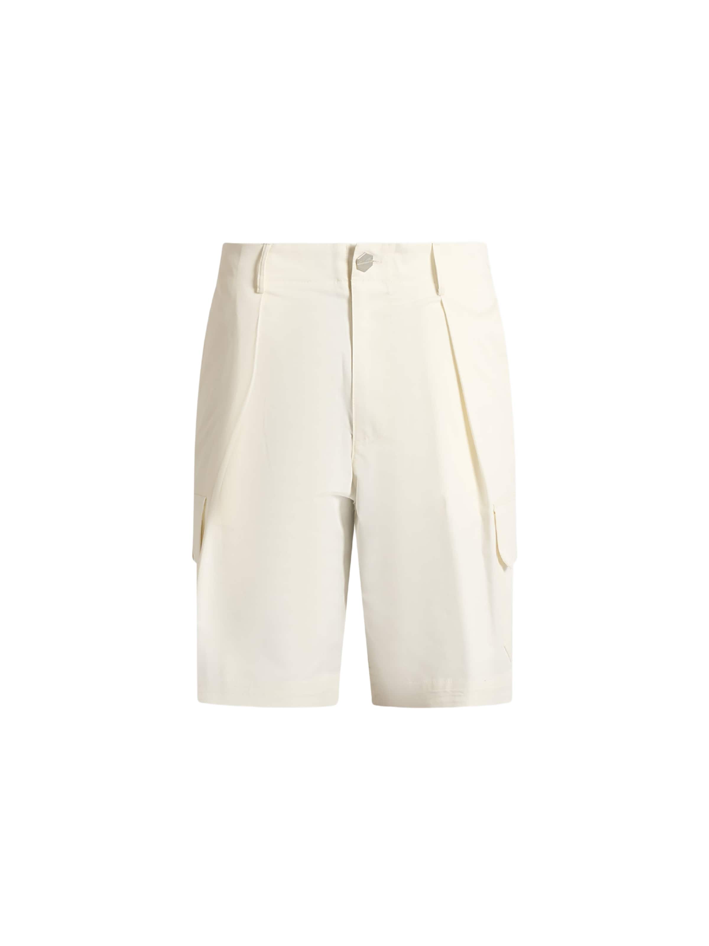 DARK LABEL Regular Pleat-Front Pants in Beige: front