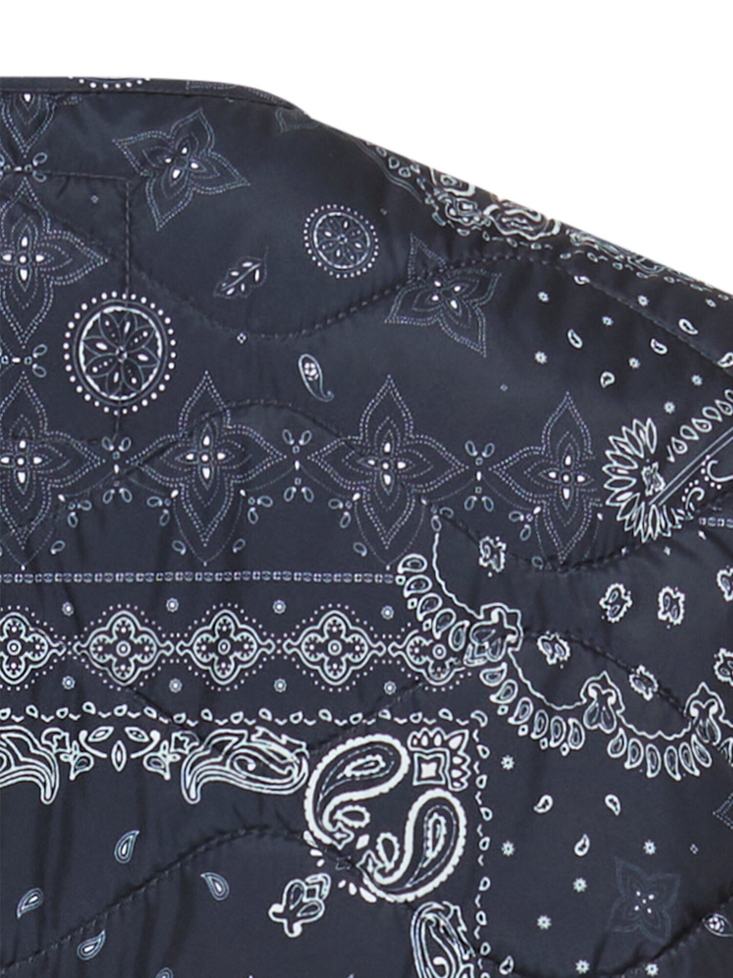 CAMEL ACTIVE Vest in Blue