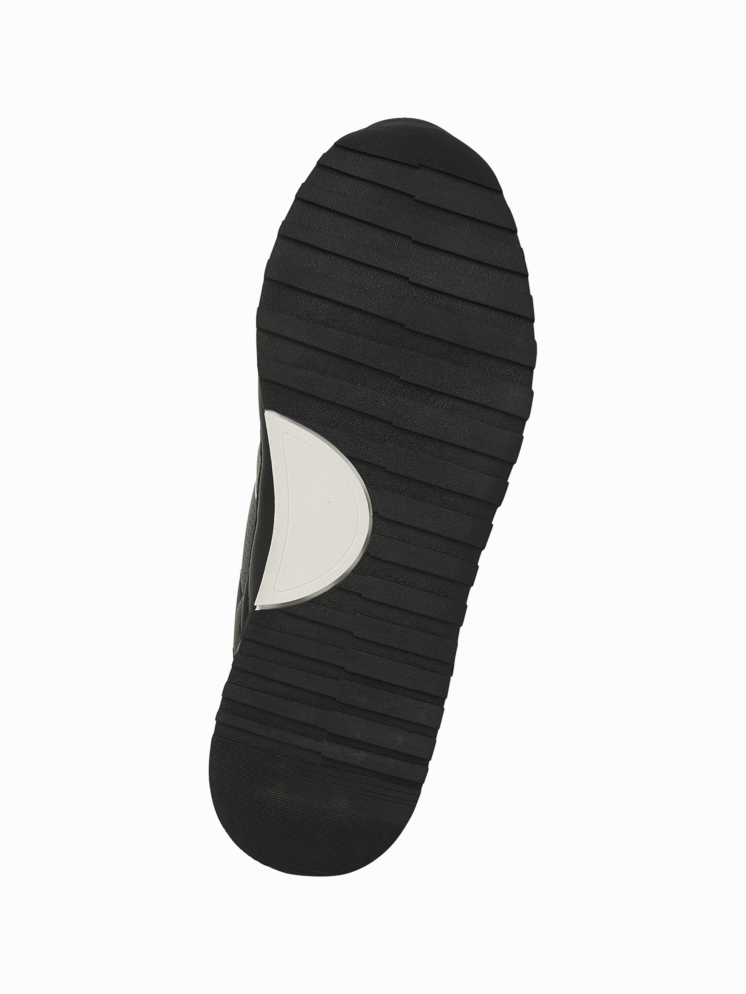 Baskets basses 'Classor' BRITISH KNIGHTS en noir