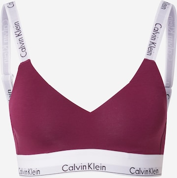 Calvin Klein Underwear Бюстгальтер в Лиловый: спереди