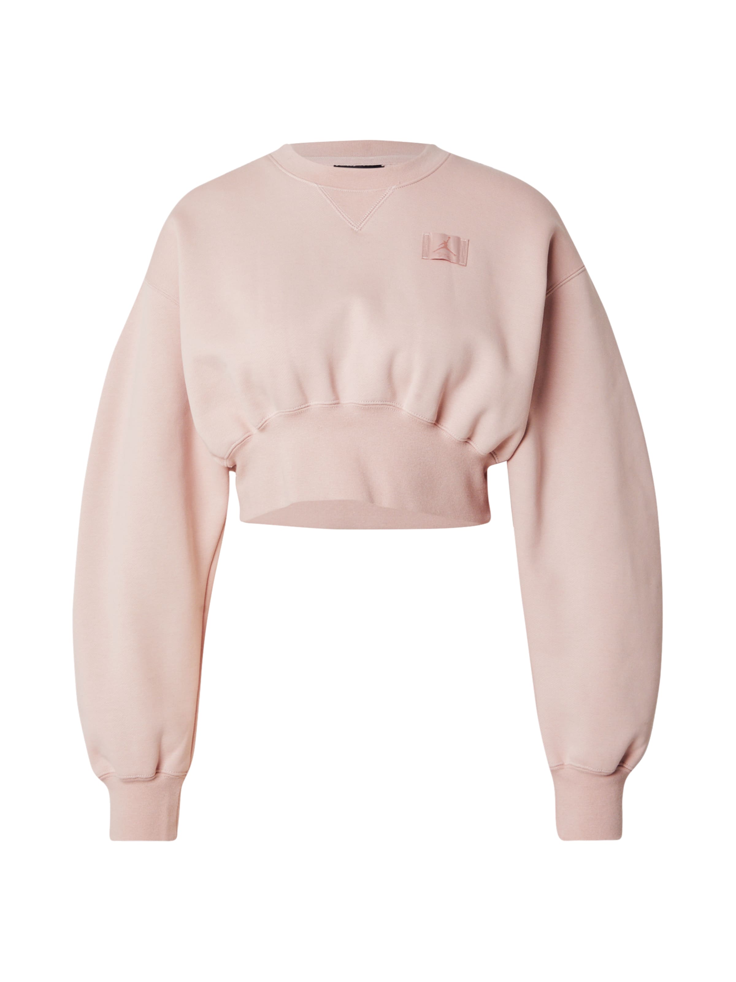 Jordan Свитшот 'FLT' в Ярко-розовый: спереди