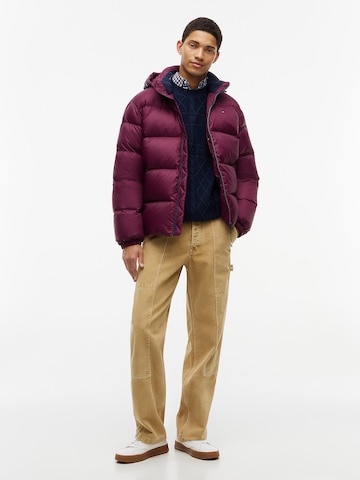 Tommy Jeans Winter Jacket 'Essential' in Purple