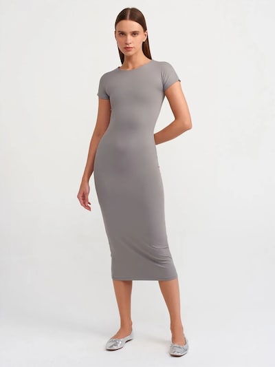 Dilvin Dress in 36 in Grey, Item view