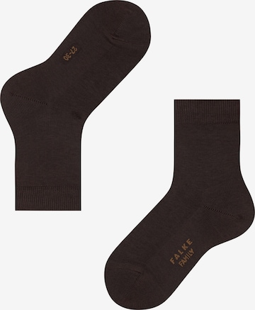 FALKE Socks 'Family' in Brown: front