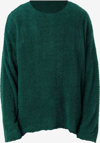 Pullover 'Wiliam' di Dandalo in verde: frontale