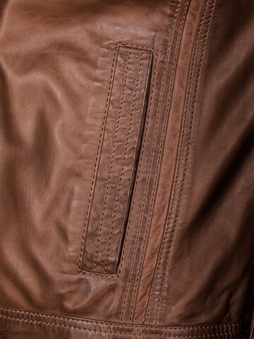 JCC Tussenjas in Bruin