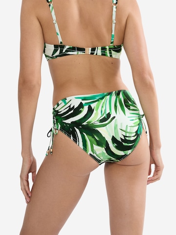 Bas de bikini ' Red Label Summer Palm ' TRIUMPH en vert