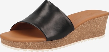 Paul Green Mules in Black: front