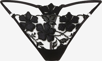Bluebella String in Black: front