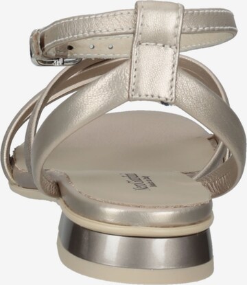 Nero Giardini Strap Sandals in Silver