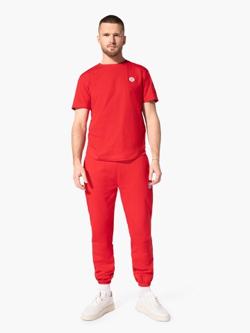 FC BAYERN MÜNCHEN Regular Workout Pants 'FC Bayern München' in Red