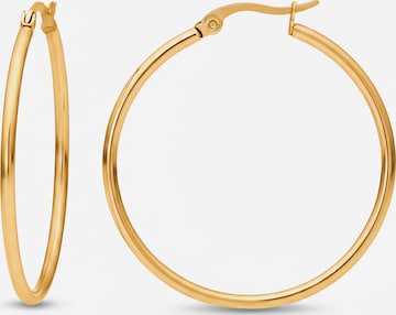 Boucles d'oreilles Heideman en or : devant