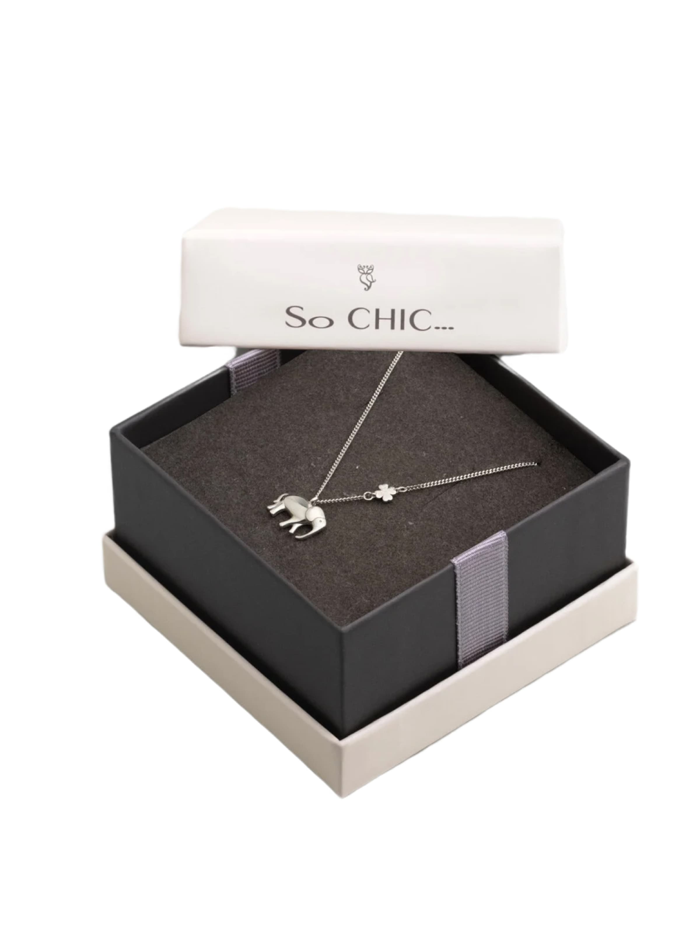 Chaîne So Chic en argent