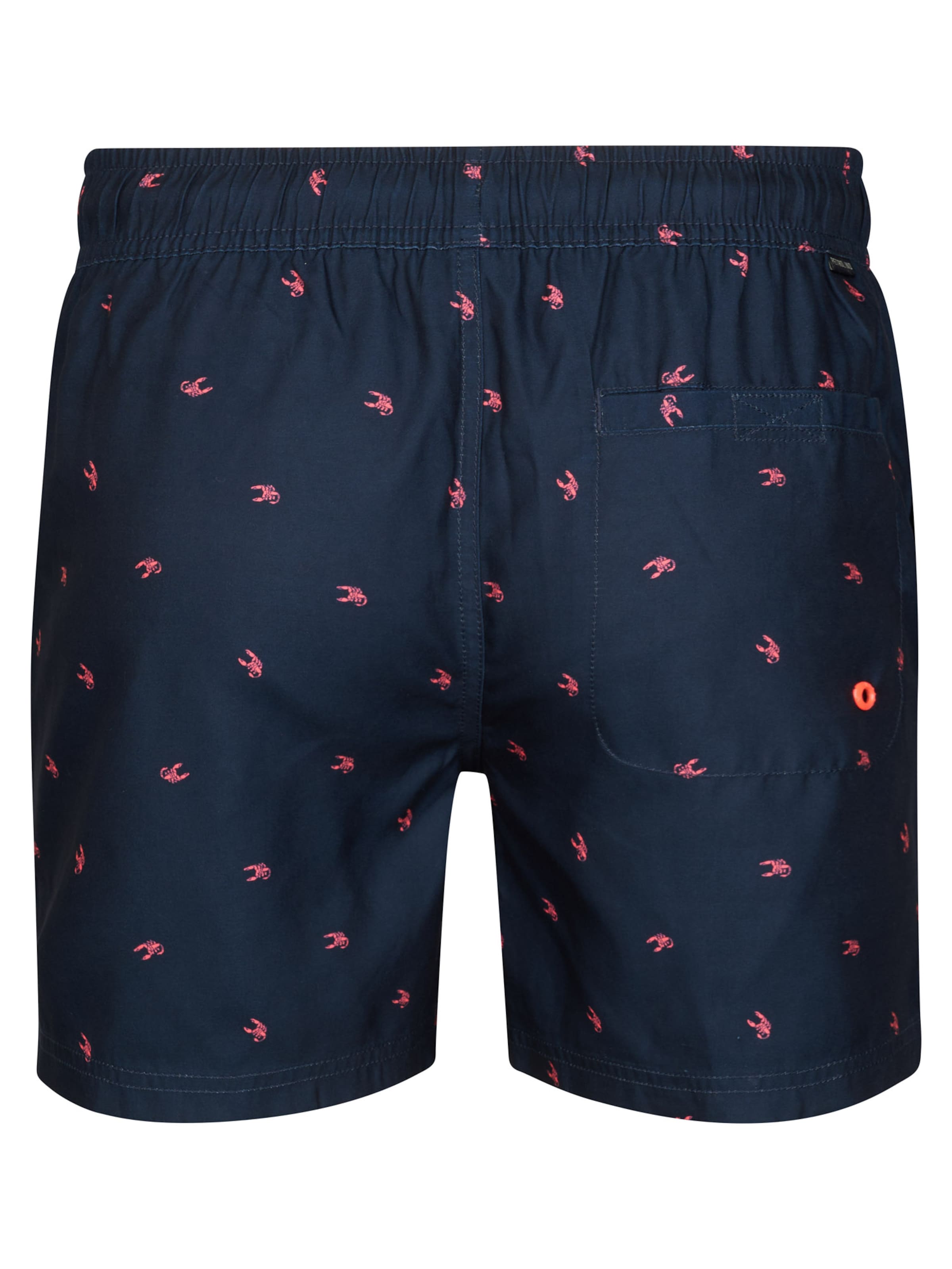Petrol Industries Zwemshorts 'Relámpago' in Blauw