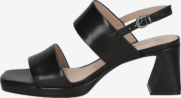 CAPRICE Sandals in Black