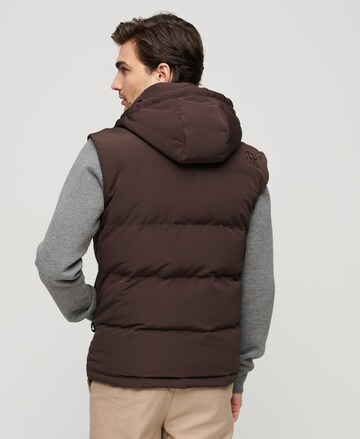 Superdry Bodywarmer 'Everest' in Bruin